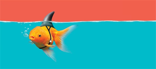 Market Like a Shark Dr. Nick Riccio writes about how everyone in your practice is a marketer. Learn how to tackle your real competition—client indifference—by understanding what prospects want, speaking their language and using marketing solutions with impact. 