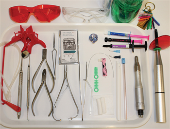 What's on Your Tray Arizona orthodontist Dr. Monika Barakat shares her tray for initial bonding.