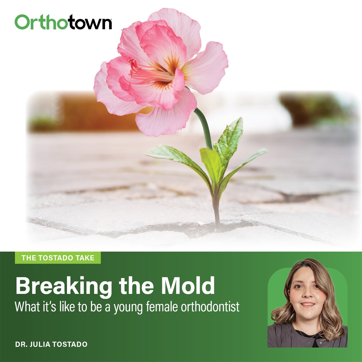 The Tostado Take: Breaking the Mold